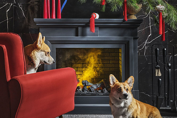 Dimplex Coventry очаг Cassette 400 LNH-INT (с дровами) белый/кирпич_6 Dimplex Coventry очаг Cassette 400 LNH-INT (с дровами) белый/кирпич_6